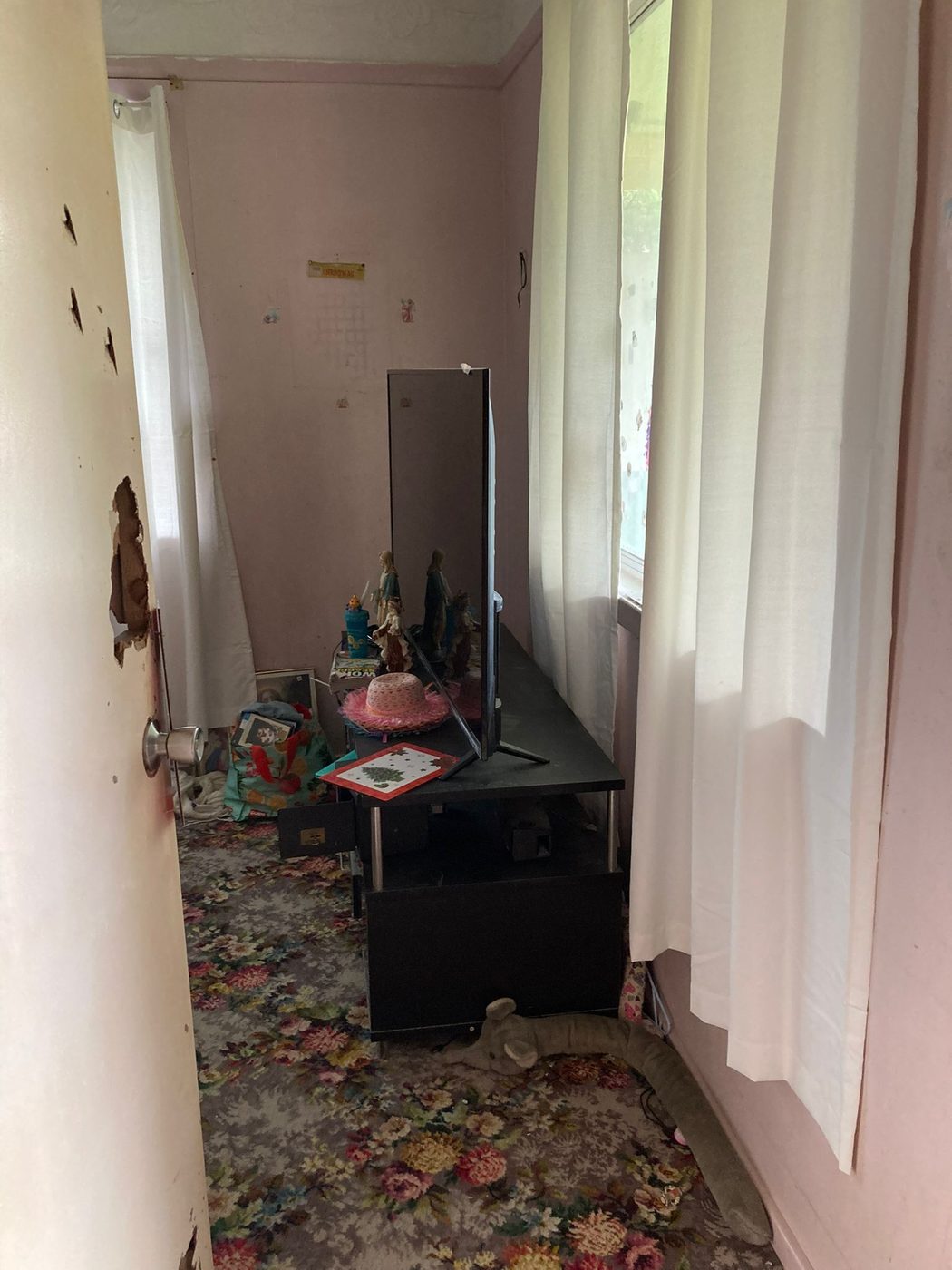 Ceiling and ornate cornice with extensive mould staining across the surface