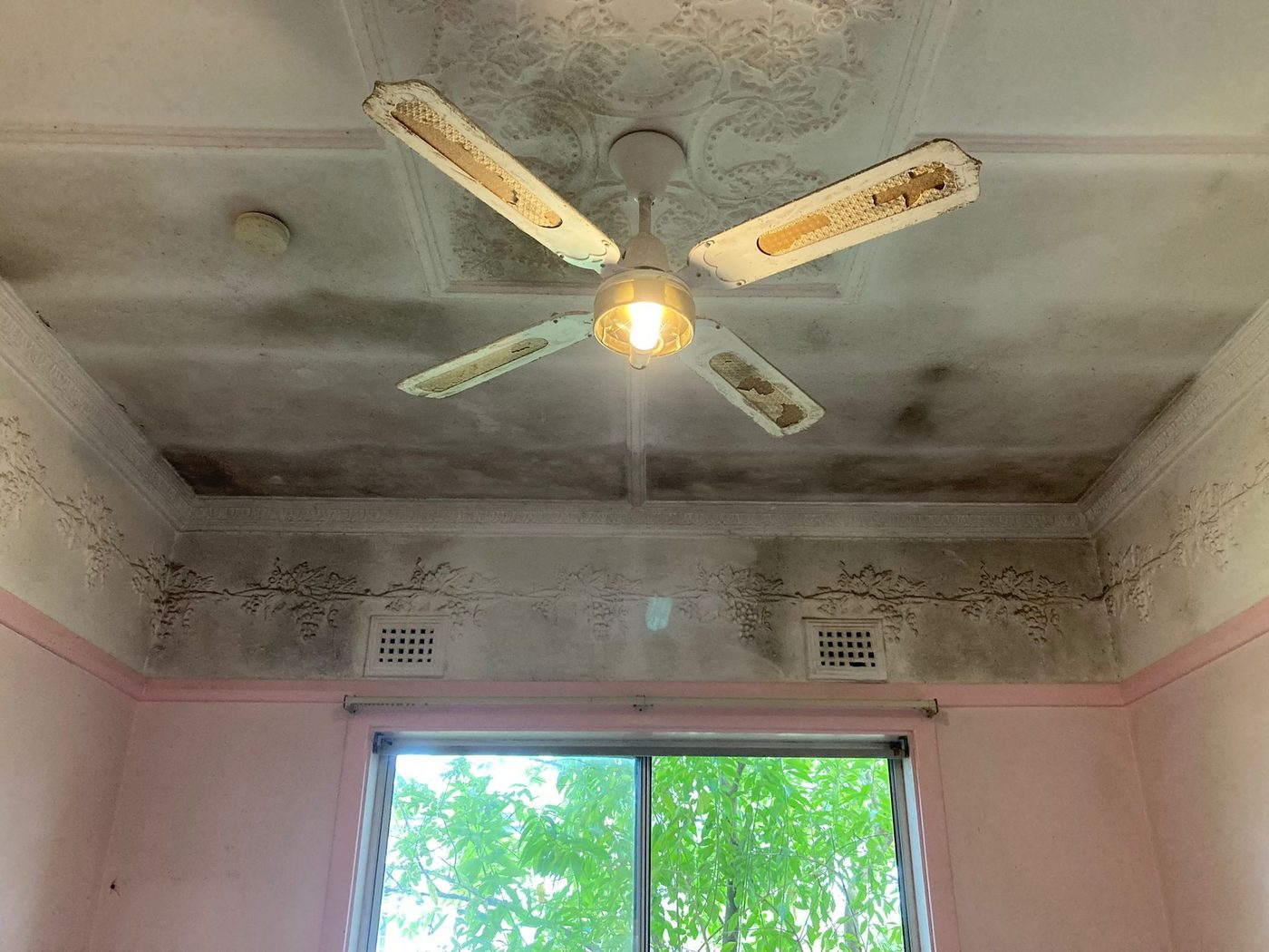 Ceiling paint flaking away in sheets above a decorative cornice